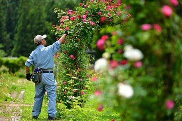 Landscape Contractors
